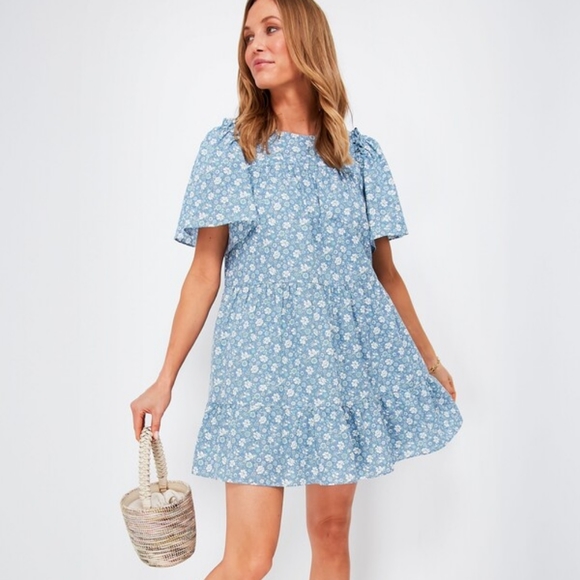 Tuckernuck Dresses & Skirts - Tuckernuck HYACINTH HOUSE Blue and White Floral Romy Mini Dress   XXL
